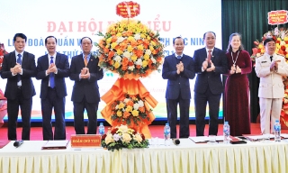 Đồng chí Mai Sơn, Phó Chủ tịch Thường trực UBND tỉnh giữ chức Chủ tịch Liên đoàn Quần vợt - Pickleball tỉnh Bắc Ninh