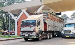 Tạm dừng áp dụng Nghị định số 46 về an toàn thực phẩm đến hết ngày 15/4