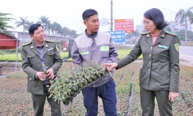  Bắc Ninh: Bảo đảm độ che phủ rừng 