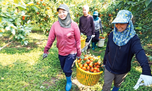 Xã Nam Dương: Xây dựng xã nông thôn mới nâng cao