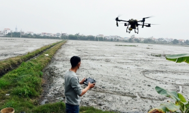  Bắc Ninh: Nhân rộng những "cánh đồng không bước chân"