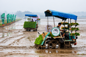 Đồng Nguyên đẩy mạnh cơ giới hóa trong sản xuất lúa