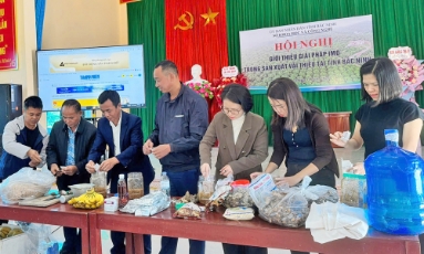  Vi sinh vật bản địa - Hướng đi cho nông nghiệp xanh