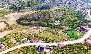 Khơi nguồn lực phát triển vùng dân tộc thiểu số và miền núi