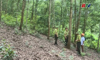 Chi cục Kiểm lâm tỉnh Bắc Ninh thông báo cấp dự báo cháy rừng