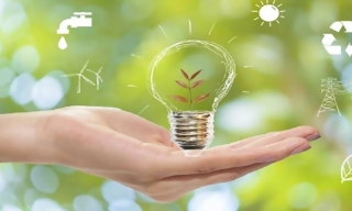 Tăng cường thực hiện tiết kiệm năng lượng, thúc đẩy chuyển dịch năng lượng và phát triển giao thông điện