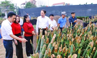 Ra mắt Hợp tác xã sản xuất nông lâm nghiệp công nghệ cao Ngọc Thiện