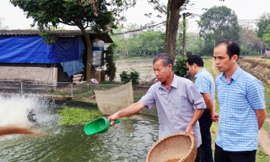  Hiệu quả cao từ thâm canh thủy sản