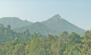  Chi cục Kiểm lâm tỉnh Bắc Ninh thông báo cấp dự báo cháy rừng