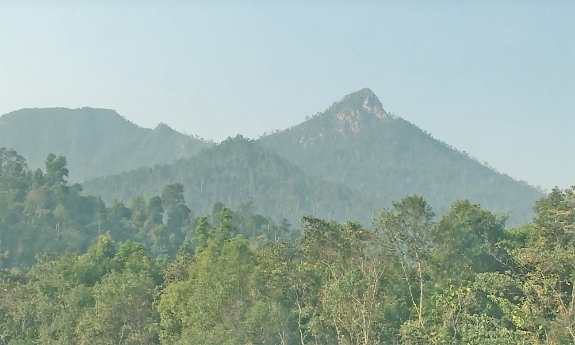 Chi cục Kiểm lâm tỉnh Bắc Ninh thông báo cấp dự báo cháy rừng