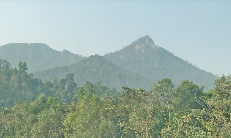  Chi cục Kiểm lâm tỉnh Bắc Ninh thông báo cấp dự báo cháy rừng