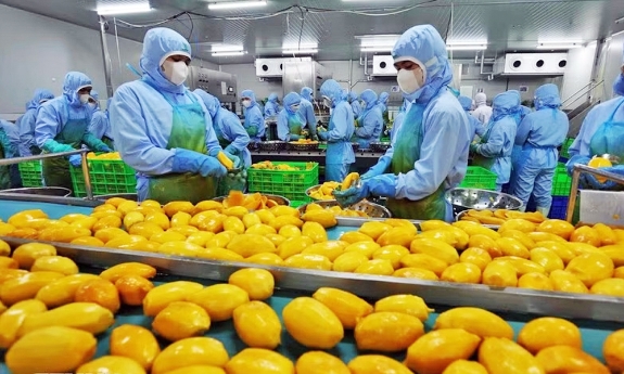 WB: Việt Nam là một điển hình về khả năng biến thách thức thành cơ hội