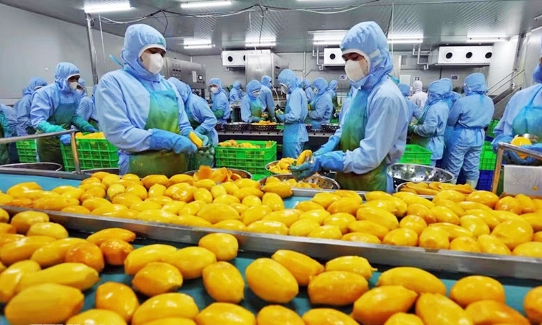  WB: Việt Nam là một điển hình về khả năng biến thách thức thành cơ hội