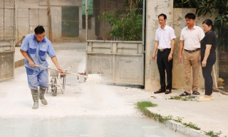 Bảo đảm an toàn đàn vật nuôi trước dịch tả lợn châu Phi