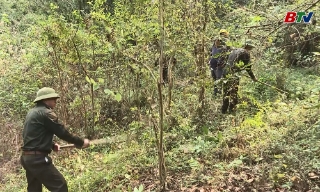 Nguy cơ cháy rừng nhiêu nơi đang ở cấp nguy hiểm