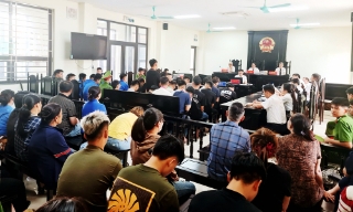 Trẻ hóa tội phạm, hậu họa khôn lường