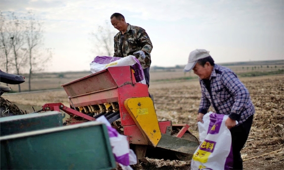 Cách Trung Quốc đứng vững trước cú sốc phân bón nhờ than đá