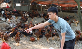 Bắc Ninh chủ động bảo vệ đàn vật nuôi khi thời tiết nắng nóng