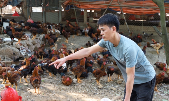 Bắc Ninh chủ động bảo vệ đàn vật nuôi khi thời tiết nắng nóng