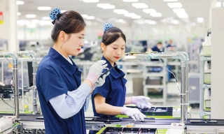 Hướng nghiệp tốt, vững tương lai