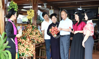  Bắc Ninh mở rộng đa kênh tiêu thụ vải thiều và nông sản chủ lực