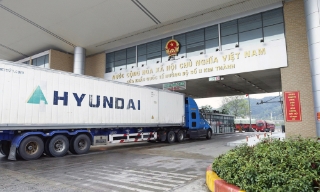 Xuất khẩu hơn 16.000 tấn quả vải tươi qua Cửa khẩu Quốc tế đường bộ số II Kim Thành