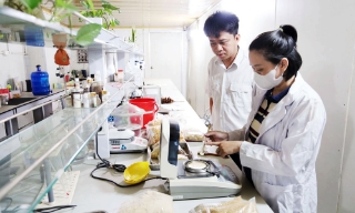 Bắc Ninh: Kiểm soát từ gốc chất lượng sản phẩm chăn nuôi