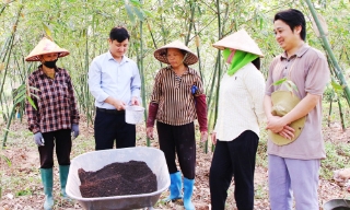 Ứng dụng hệ thống quản lý sức khỏe cây trồng tổng hợp: Đất khỏe, nuôi cây tốt