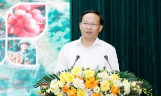 Bắc Ninh: Thúc đẩy chuyển đổi sản xuất, tiêu thụ vải thiều từ phát triển theo sản lượng sang chất lượng và giá trị