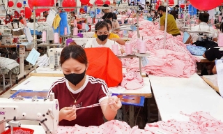 Bắc Ninh: Thu ngân sách nội địa 7 tháng tăng 24,5%  