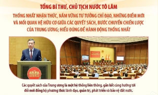 Tổng Bí thư, Chủ tịch nước Tô Lâm: Các quyết sách của Trung ương là một hệ thống liên thông, gắn kết