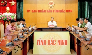 Phó Chủ tịch Thường trực UBND tỉnh Mai Sơn dự hội nghị ngoại giao về phát triển đất nước