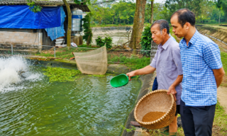 Bắc Ninh: Xây dựng chuỗi liên kết, mở đường cho xuất khẩu thủy sản