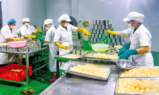 Khuyến khích doanh nghiệp xây dựng, quảng bá thương hiệu Bắc Ninh