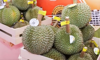 Nam Ninh (Quảng Tây, Trung Quốc) đón lô trái cây ASEAN quy mô lớn
