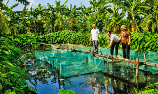 Bắc Ninh: Bổ sung 400 tỷ đồng nguồn vốn tín dụng chính sách