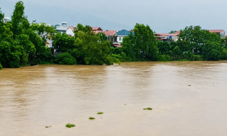 Lũ khẩn cấp trên sông Lục Nam, sông Thương và sông Cầu