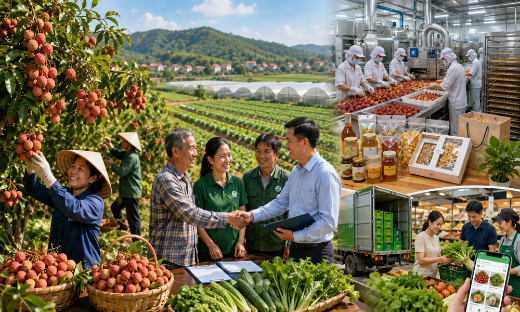 Liên kết sản xuất thế nào cho hiệu quả?