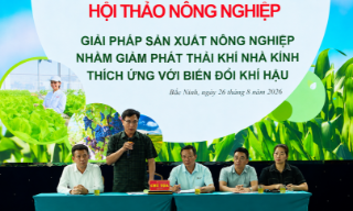 Bắc Ninh đẩy mạnh nông nghiệp phát thải thấp, xây dựng chuỗi giá trị bền vững