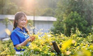 Trải nghiệm miền sâm núi Dành