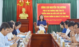 Phó Bí thư Thường trực Tỉnh ủy Nguyễn Thị Hương làm việc với Ban Thường vụ Đảng ủy xã Đại Đồng