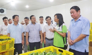 Nhân 96 năm Ngày thành lập Hội Nông dân Việt Nam 14/10 (1930 - 2026): Phát huy vai trò nông dân trong phát triển kinh tế nông thôn