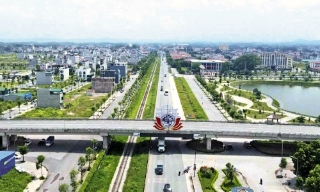 Làm đẹp cảnh quan, cải thiện không gian sống