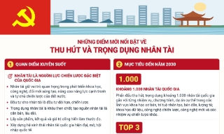 Đến năm 2030, phấn đấu thu hút, trọng dụng khoảng 1.000 nhân tài quốc gia