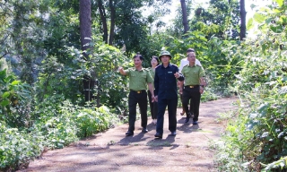 Bắc Ninh: Chung sức giữ màu xanh cho rừng