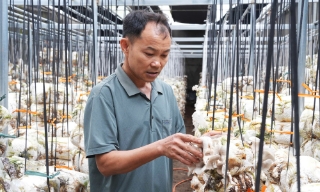 Bắc Ninh: Gần 95 tỷ đồng hỗ trợ nông dân sản xuất, kinh doanh