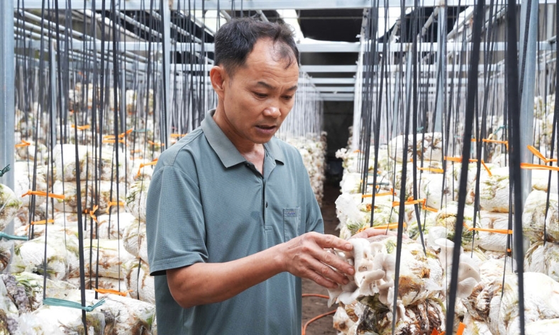  Bắc Ninh: Gần 95 tỷ đồng hỗ trợ nông dân sản xuất, kinh doanh