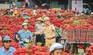 Phân luồng giao thông mùa Vải thiều