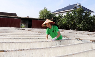 Nghề truyền thống