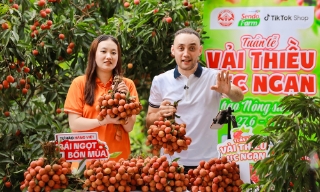 Livestream bán vải thiều tại vườn